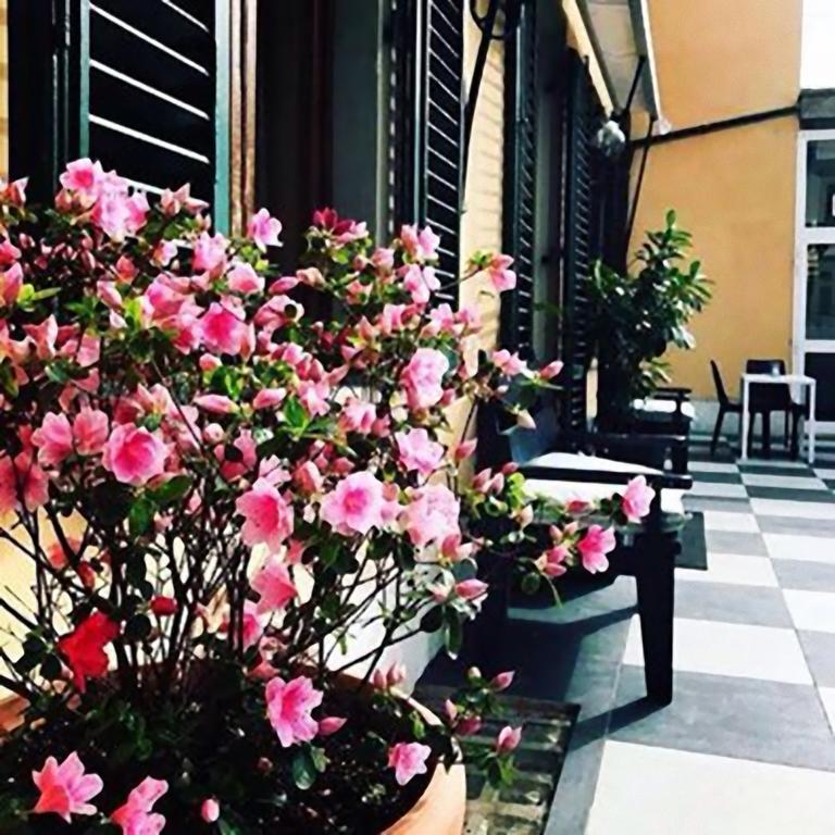 Hotel Butterfly مونتيكاتيني تيرمي المظهر الخارجي الصورة